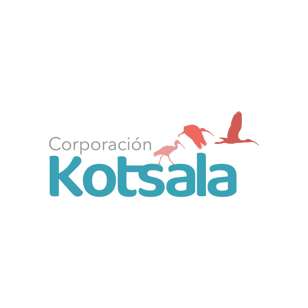 Estrategias comunitarias